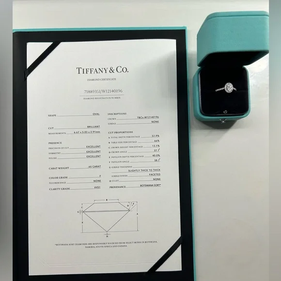 Tiffany & Co. Soleste Oval Halo Engagement Ring with Platinum Diamond Band - Picture 3 of 4